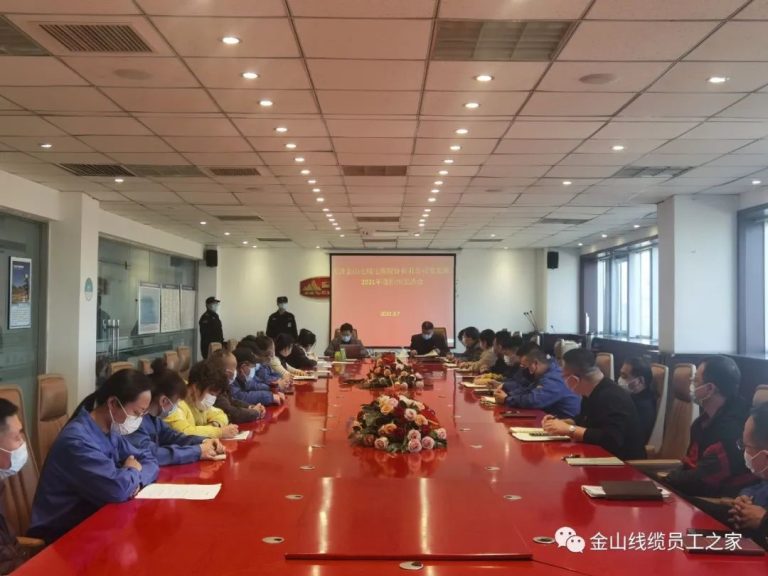 党建引领促发展，凝心聚力谱新篇–太阳集团线缆党支部召开2021年度组织生活会